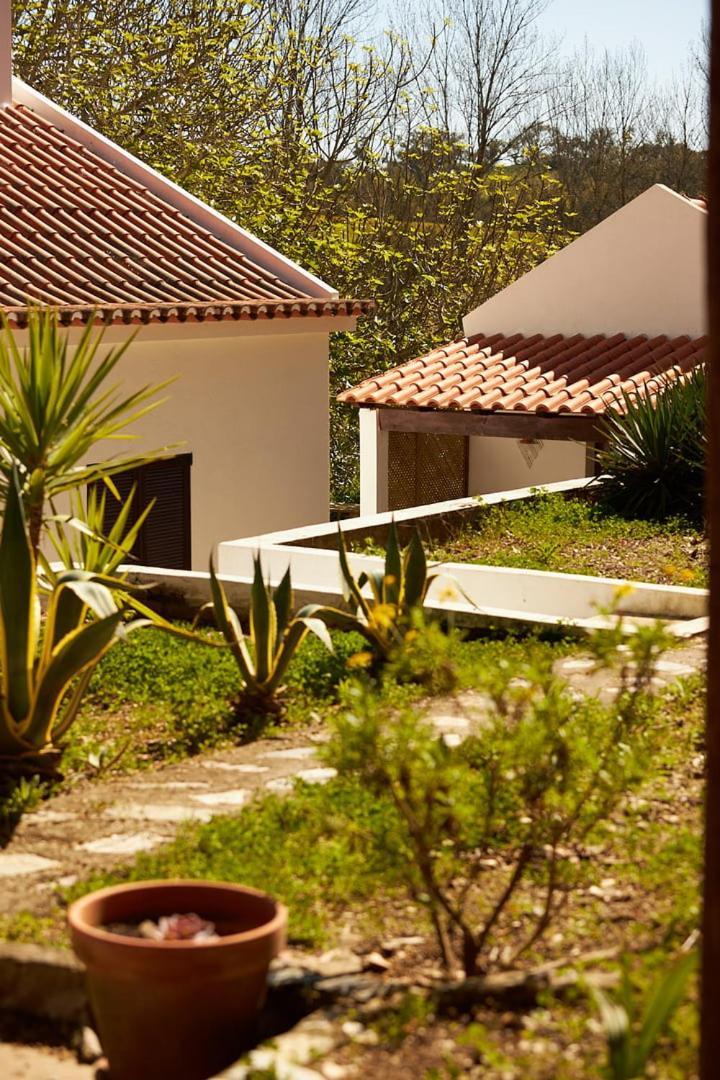 Villa Quinta Do Marmeleiro - Casa Marmeleiro Santiago do Cacém Exterior foto